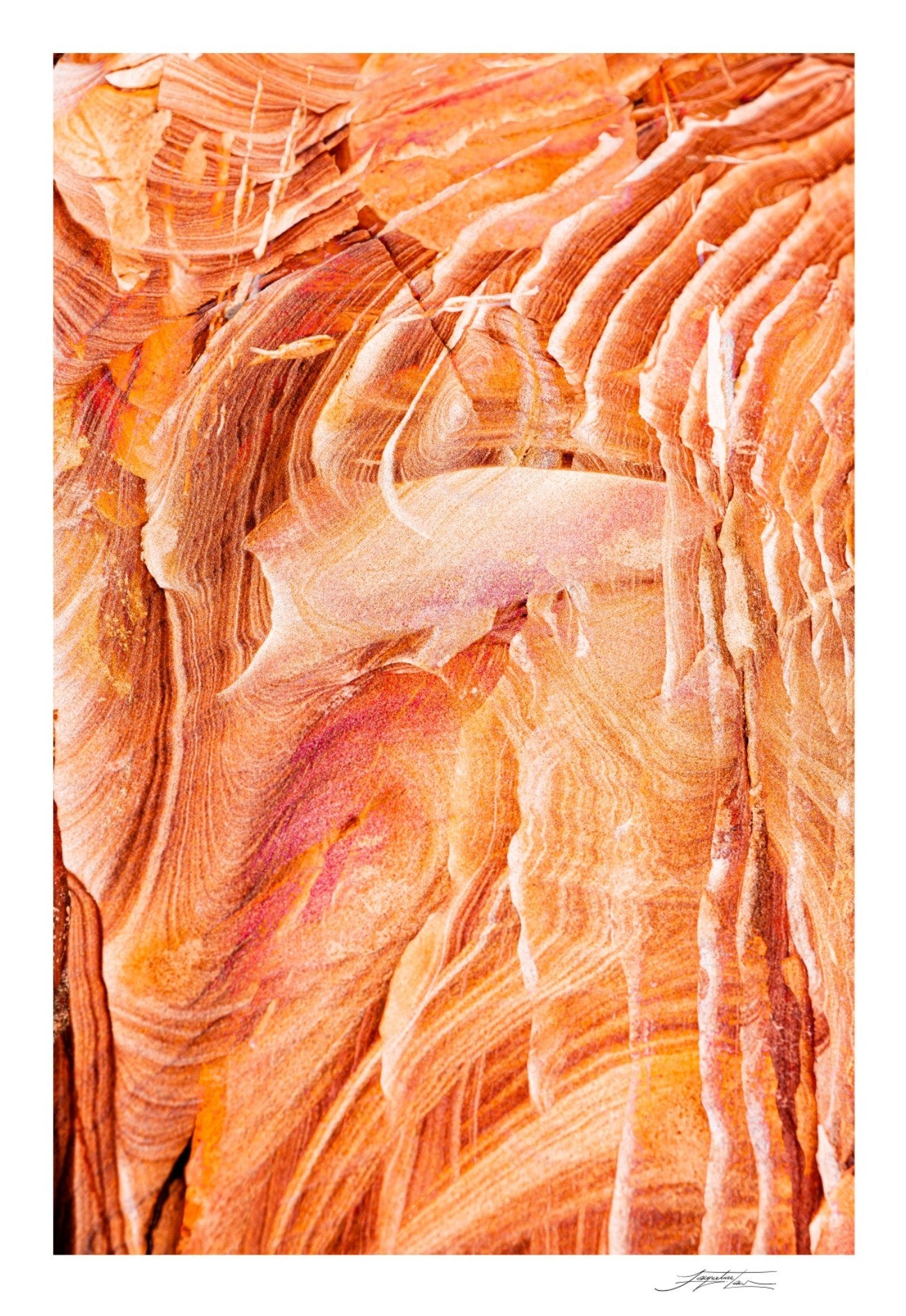 Fish Out of Water Print