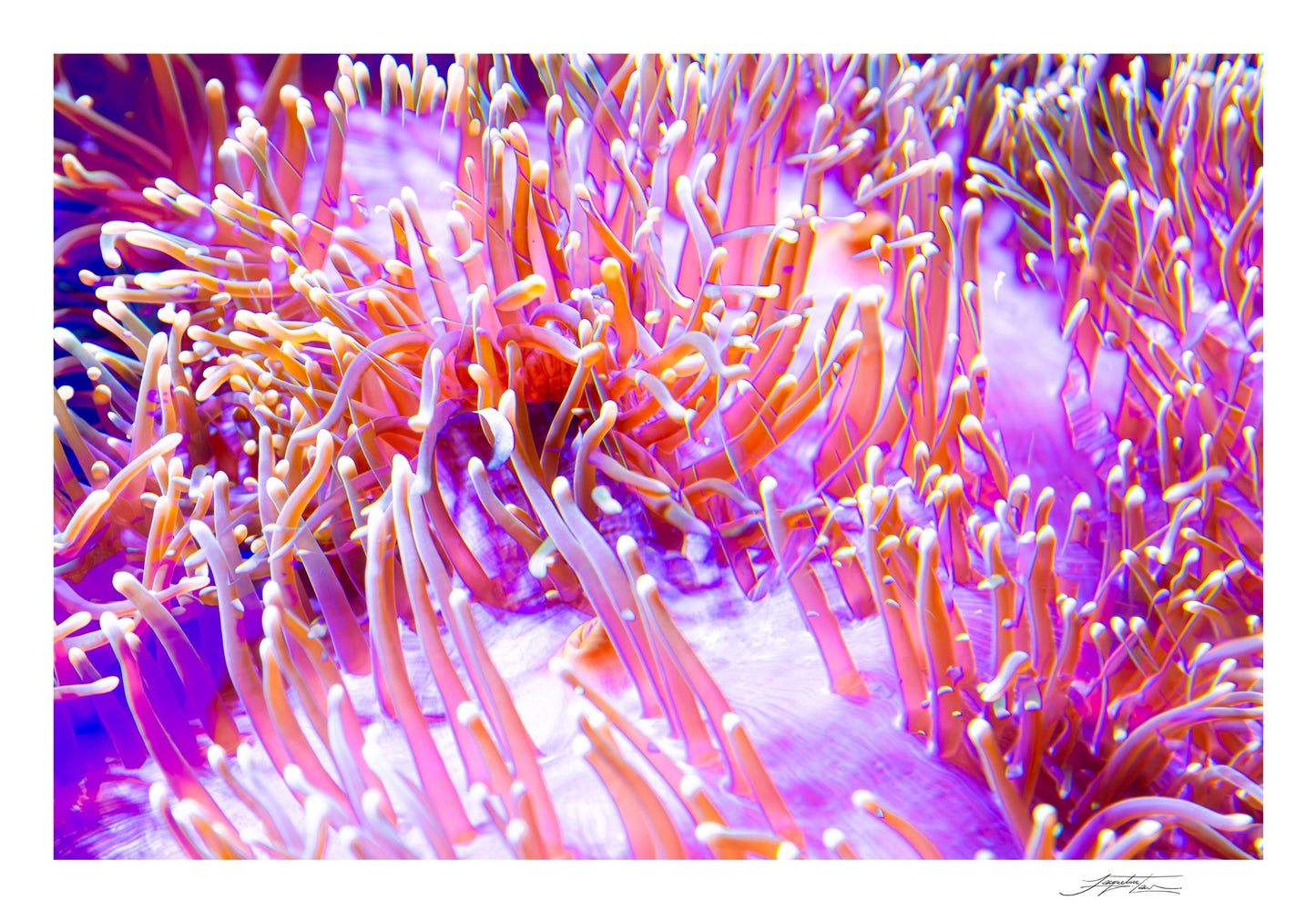 Follow Your Current Print